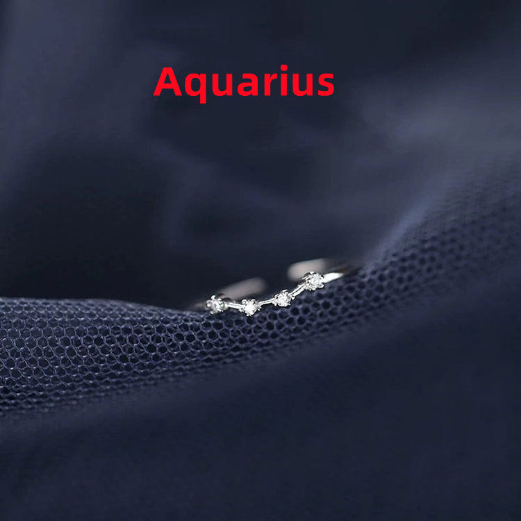 Zodiac Sign Ring – Adjustable S925 Sterling Silver Astrology Jewelry for Women & Men
